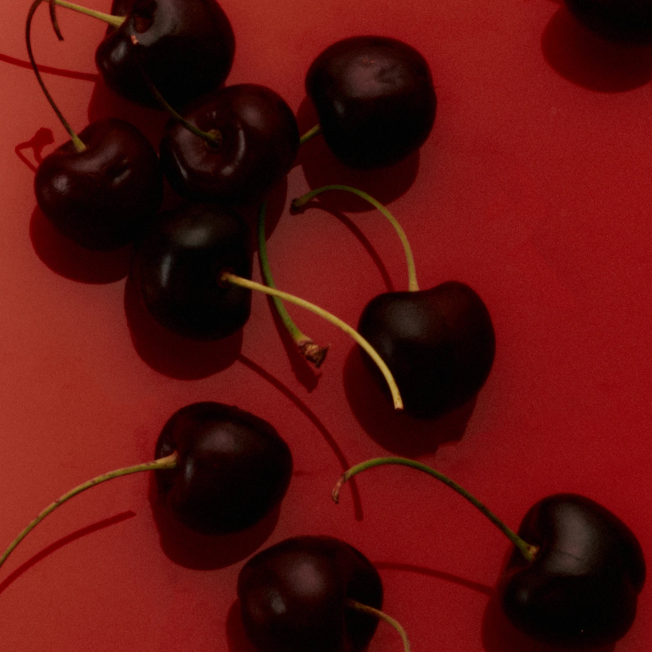 MPACT-header-banner-vegan-1x1.jpg