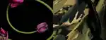 video-fallback-image