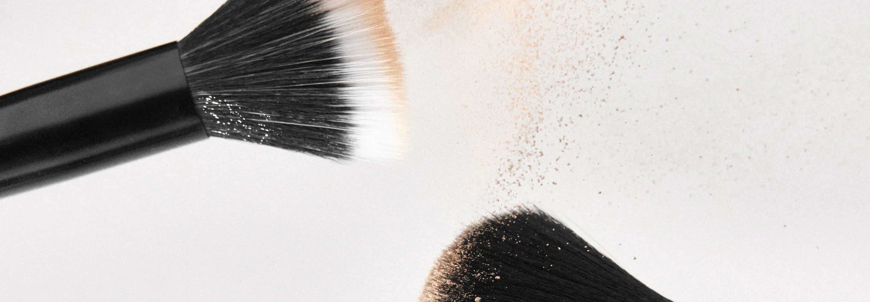 Powder Brushes Oct 2022 11x5