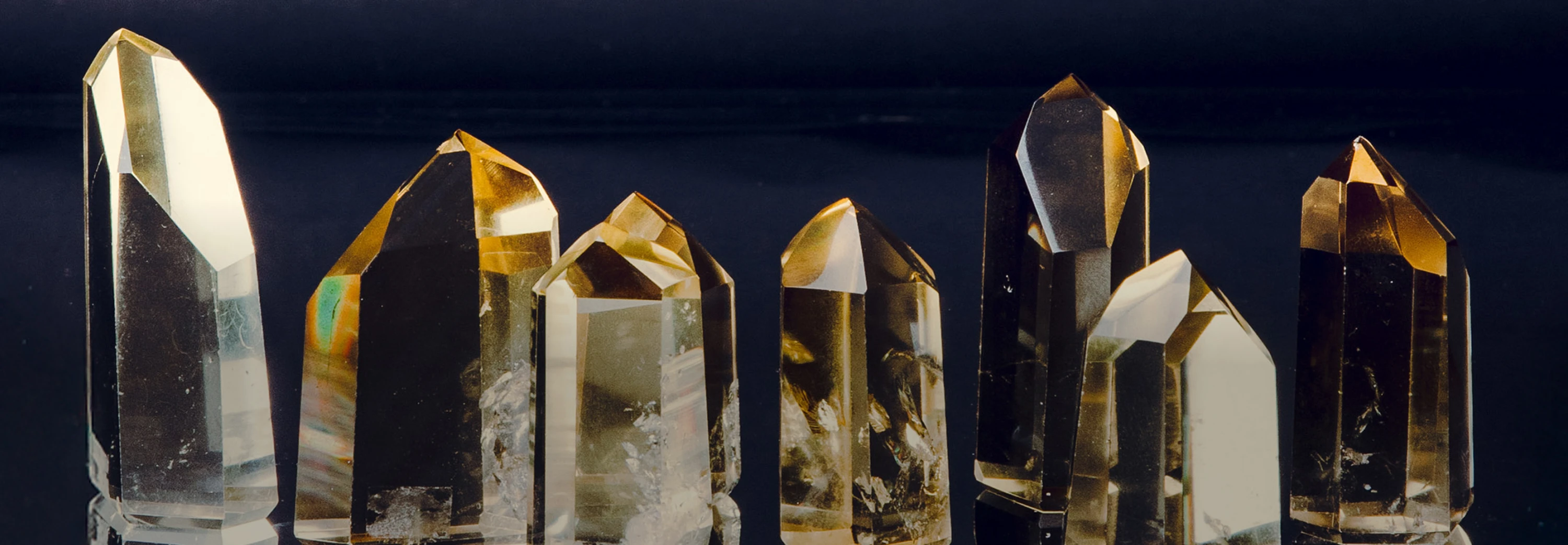 sage-salt-header-banner-oct-25-2880x1000.jpg