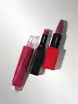 Shiseido Shoppable Cycler Brand Lips 3x4