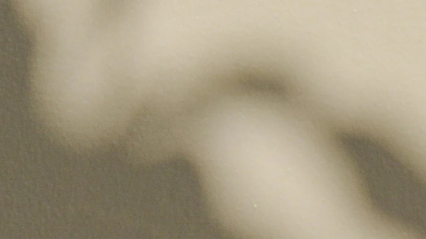 wellness-hero-banner-april25-1125x636.jpg